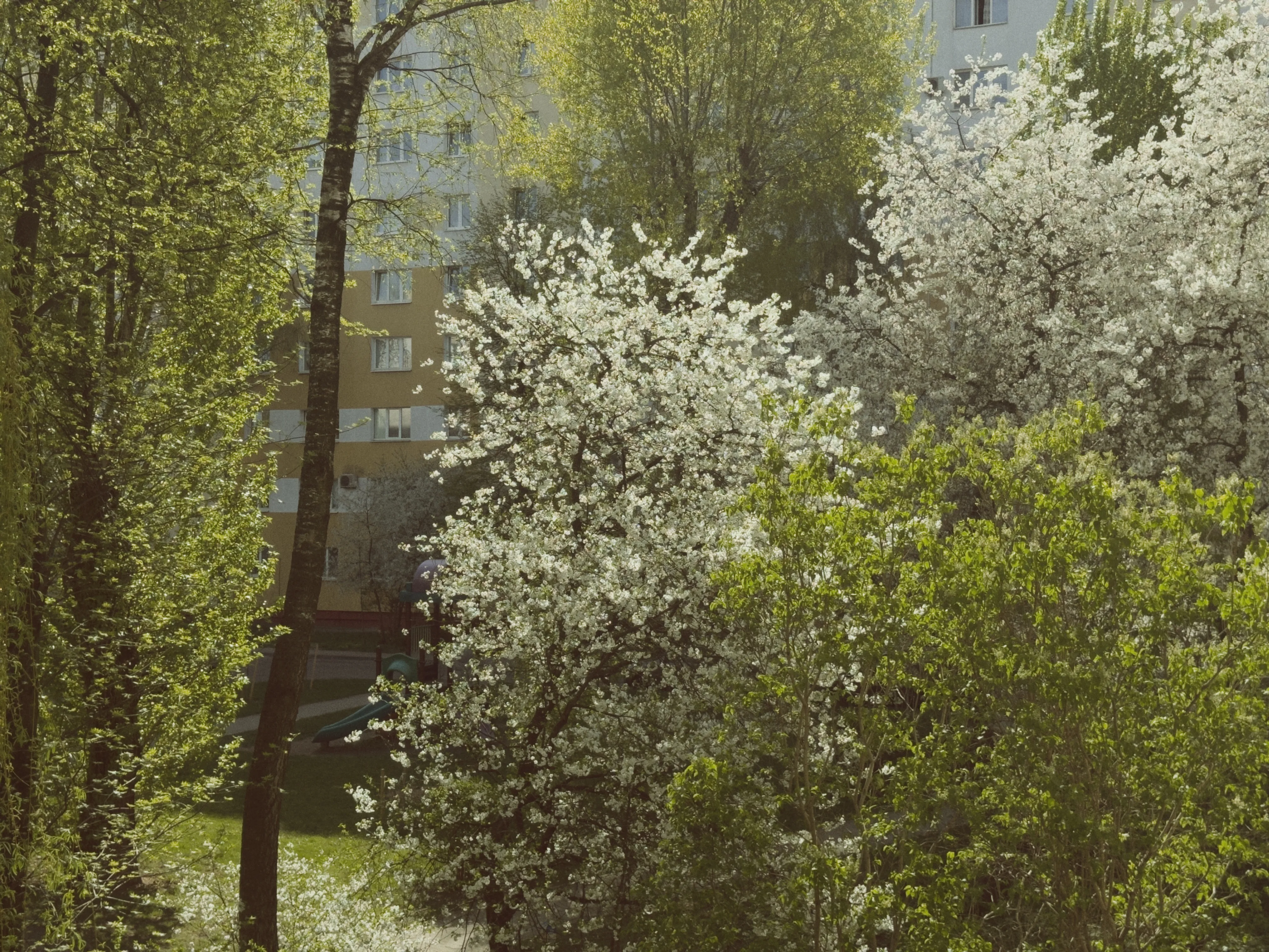 Обложка: Апрель. Дорога перемен или вампир не умеет правильно сосать, и нам каждый раз становится неуютно.